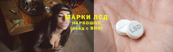 спиды Заречный
