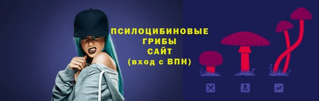 скорость mdpv Кинешма