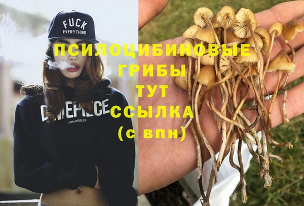 герыч Кодинск