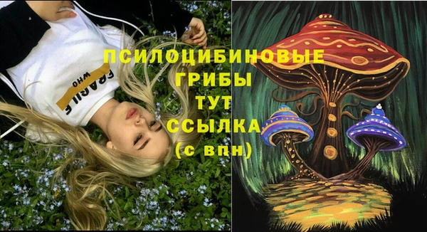 молекула духа Киренск