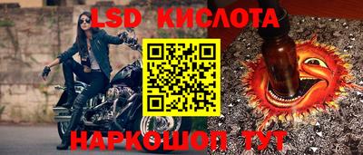 мяу мяу мука Аргун