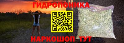 мяу мяу мука Аргун