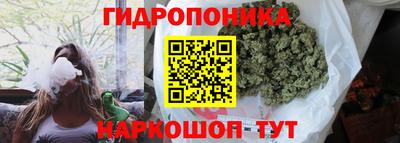 эйфоретик Волжский