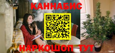 мяу мяу мука Аргун