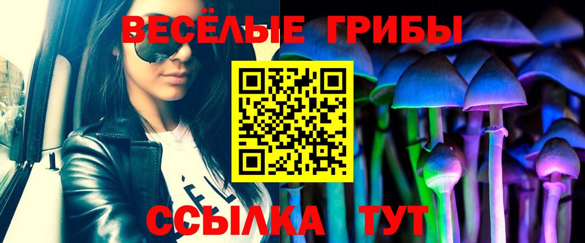 Псилоцибиновые грибы Cubensis  наркошоп  Коркино  Псилоцибиновые грибы MAGIC MUSHROOMS  Вход с VPN 