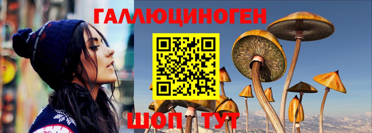 Псилоцибиновые грибы прущие грибы Коркино